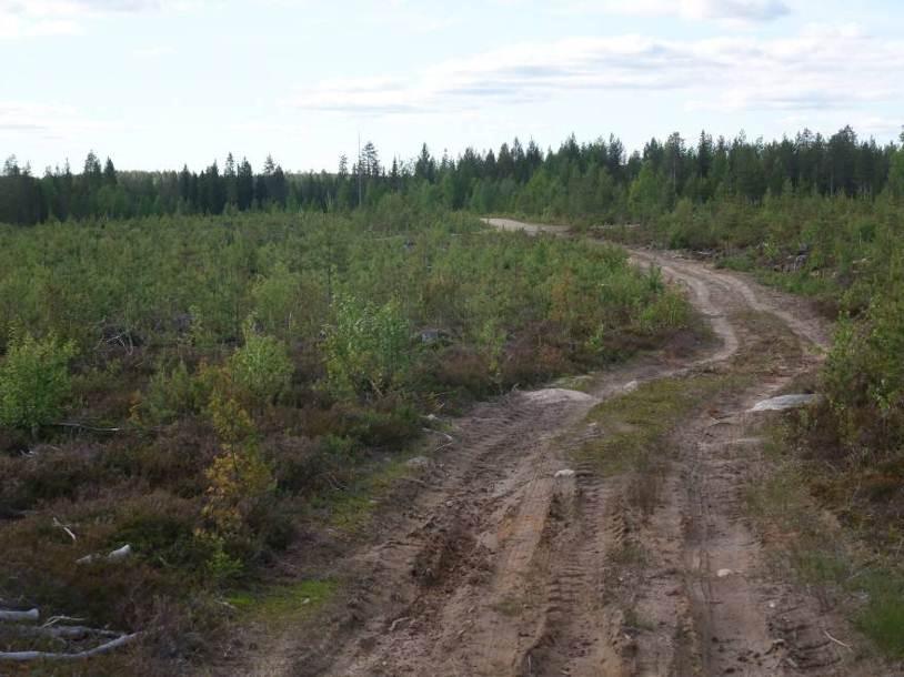 Alueella ei ole luonnonsuojelu-, vesi- tai metsälain mukaisia kohteita tai suojeluohjelmiin kuuluvia alueita.