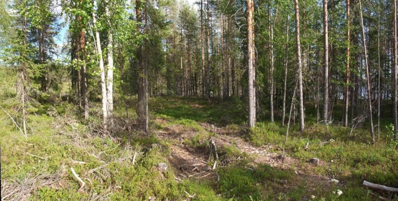 vaihtelevaa, puusto ja kasvillisuus hyvää. Myös Oulu-Kajaani-Vartius käytävä on alueen vierellä. Kuva 3 Ote maastokartasta Lipukkajärven ympäristössä 3.1.