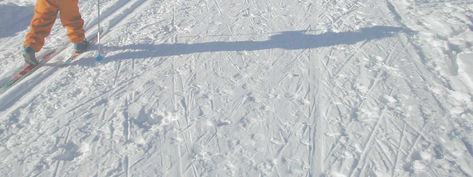 Saman katon alla toimii Nummen koulun kaksi luokkaa, joiden kanssa teemme yhteistyötä.. Iltapäivisin koulun tiloissa toimii koululaisten iltapäiv iväkerho kerho.