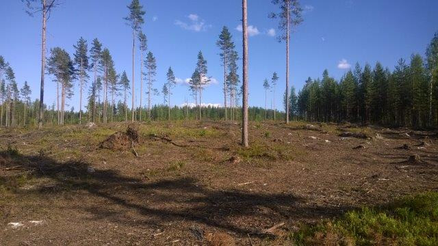 Paikalliset olosuhteet on kaavaratkaisussa pyritty ottamaan huomioon. Maisemallisesti tärkeät alueet rannan lähistöllä jätetään edelleen rakentamisen ulkopuolelle.