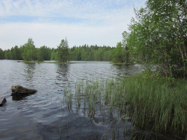 Joitakin vuosia sitten laaditussa rantaosayleiskaavassa ja sen luontoselvityksessä havaittiin