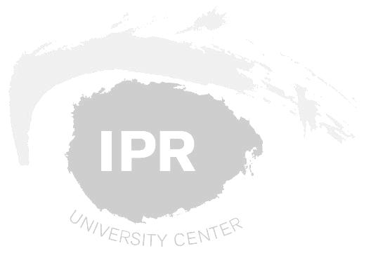 IPR UNIVERSITY CENTER PUBLICATIONS IPR SERIES A:3 Verkkotunnuksiin liittyvien riitojen ratkaiseminen menettelylliseltä kannalta tutkimus UDRPmenettelystä prosessin