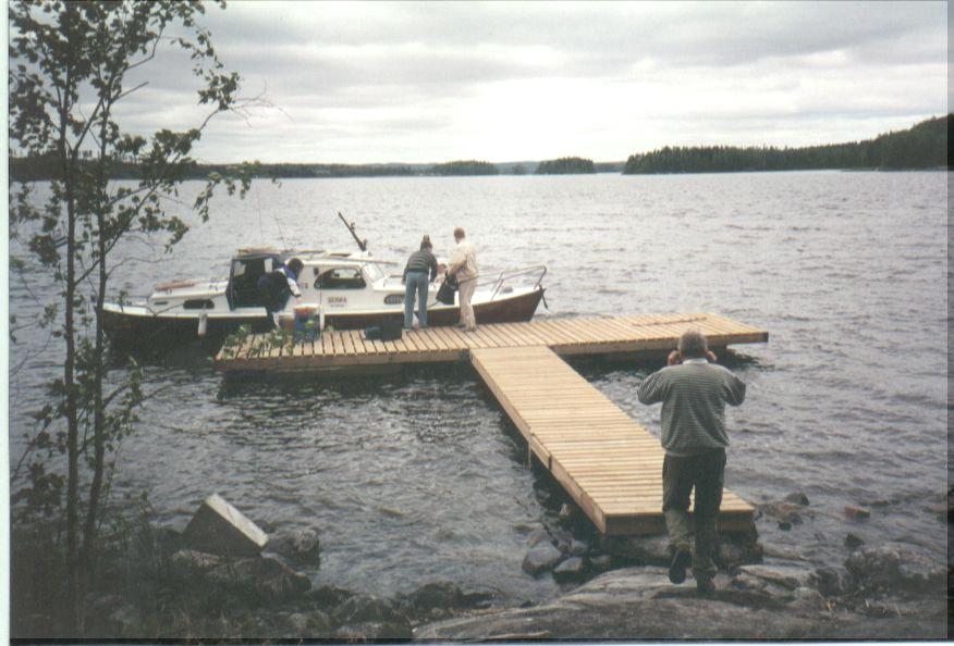 Livansaari (Korpilahti)