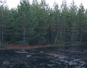 Metsänkasvatuksen kustannukset suonpohjalla Metsänkasvatuksen eri työvaiheisiin liittyy aina kustannuksia.