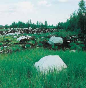 Pohjamaalaji ja turvekerroksen paksuus suunnittelun lähtökohtina Turvekerroksen alla olevan mineraalimaan tai kallioperän ominaisuudet vaikuttavat ratkaisevasti jälkikäyttöön.