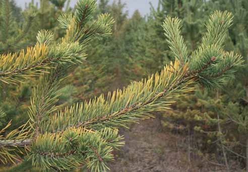 Geologiset ominaisuudet jälkikäytön suunnittelussa 1. Yksi jälkikäyttömuoto soveltuu harvoin koko turvetuotannosta poistuvalle alueelle. 2.