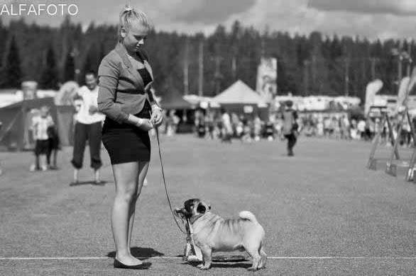 Nattia. Tuomarina toimi Airaksinen Eija 1.