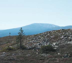 Eipä tuo juuri haitannut, sillä nyt alkoi matkasta se vaihe, jolloin aikatauluilla ja ajan kulumisella ei sinänsä ollut merkitystä, näet seuraava kelloon sidottu tapahtuma olisi edessä vasta viikon