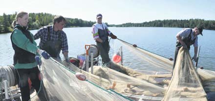22 Roskakalat vähissä YMPÄRSÖ Kylänraitti 3/2009 Nuotan perää kiskotaan kohti nuottauslauttaa. Vasemmalta nne Saarikko, Petri Savola (UUS), Heikki eljamo ja sko Kiiskinen (UUS).