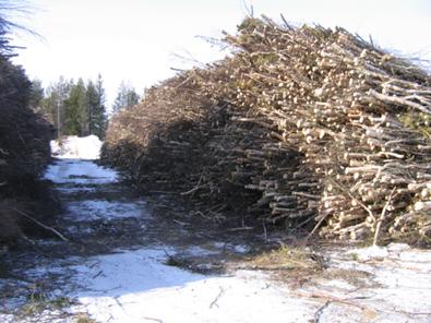 Mutta varsinkin pitkäaikaisvarastoinnissa riittävän leveät kulkuväylät varastojen välissä edistävät tehokkaasta haihtumisesta johtuvaa puukasojen kuivumista (kuva 4). Kuva 4.