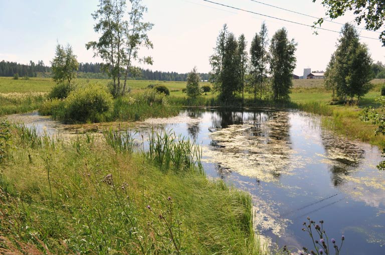 2. Saukko-Laurilan pelto-oja, padottu kosteikko Kuvaus: Hirsikankaan pohjavesialueeseen kuuluva Saukko-Laurilan kosteikkokohde sijaitsee Loimijokea kohti viettävien peltojen rajaamassa ojanotkossa.