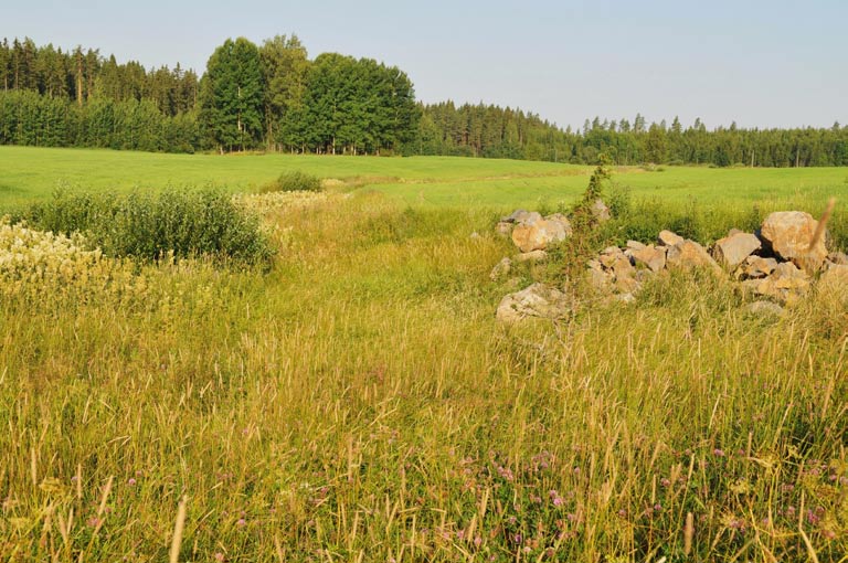 13. Motinoja, padottu kosteikko Kuvaus: Motinojan mahdollinen kosteikkokohde sijaitsee ojaa kohti loivapiirteisesti viettävien peltojen muodostamassa notkossa.