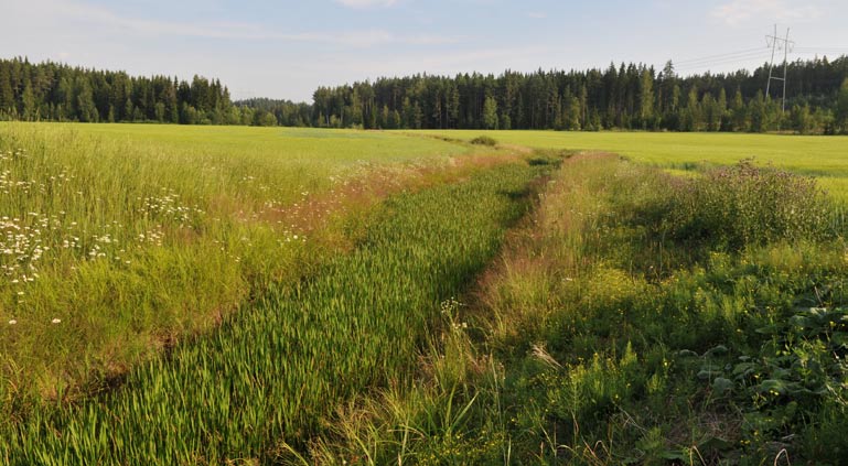 16). Kuva: Timo Niemelä. 17.