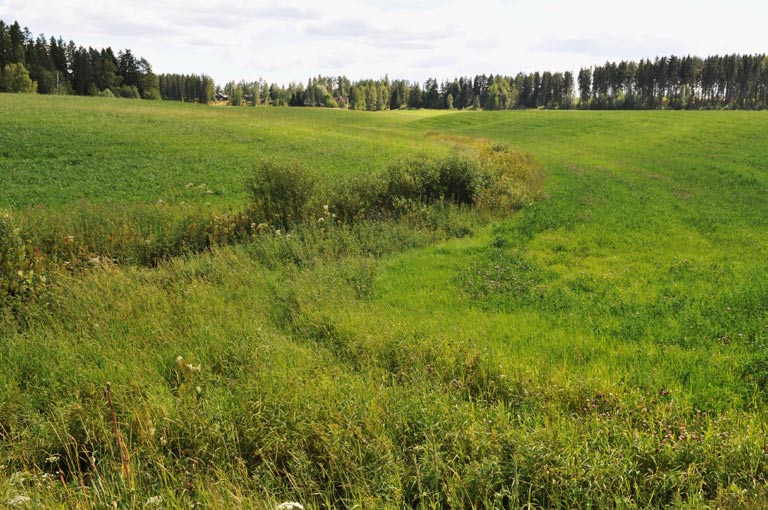 2. Sipinoja, padottu kosteikko Kuvaus: Turuntietä vasten rajautuvaan peltonotkoon patoamalla perustettavissa oleva Sipinojan kosteikkokohde sijaitsee samalla valuma-alueella Palohuhdan