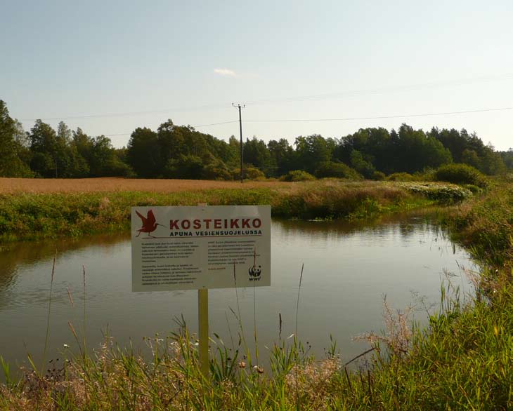 KOSTEIKOT VESIENSUOJELUN APUVÄLINEENÄ Kosteikot ovat yksi uhanalaisimmista, ja samanaikaisesti rikkaimmista, ekosysteemeistä maailmassa.