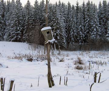 Alun perin kosteikko oli perustettu kastelualtaaksi. Olemassa olevien rakenteiden hyödyntäminen ja kehittäminen on kosteikkotyössä myös hyvin kustannustehokasta.