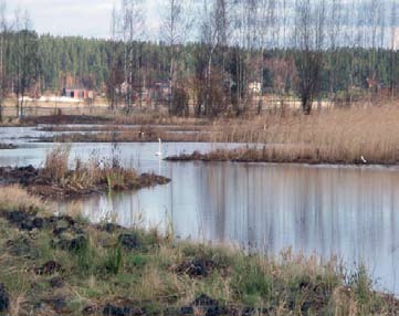 Krapuojan kosteikko osana Laukanlahden pilottialuetta Laukanlahti on merenlahti, joka sijaitsee Perniön ja Särkisalon rajalla, nykyisen Suursalon alueella.