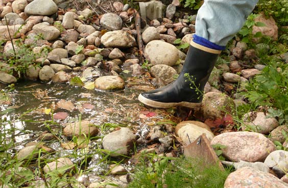 WWF kutsuu maanomistajia mukaan kosteikkohankkeeseen! Onko lähialueellasi sopivia kosteikkokohteita? Kiinnostaako kosteikkojen perustaminen?