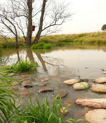 Mikä on kosteikko? Kosteikko on vesiperäinen maa-alue (engl. Wetland). Kosteikkoalue on pysyvästi tai ainakin suurimman osan vuodesta veden peittämä.