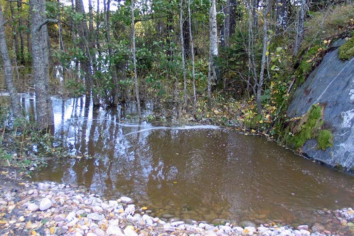 WWF Suomen kosteikkotyö Kokonaisuudessaan WWF Suomen kosteikkotyön tavoite on kosteikkojen perustamisen edistäminen.