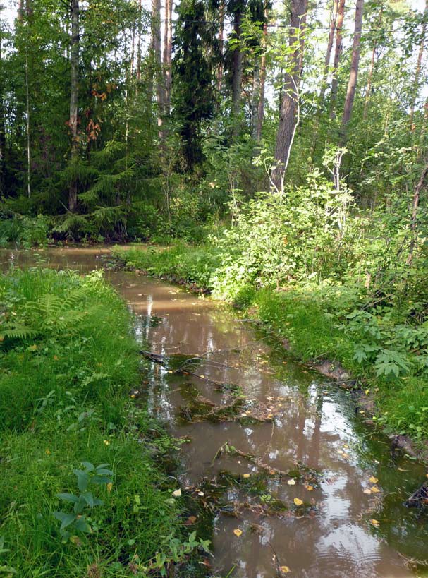 Kosteikkojen rahoitus Kosteikkojen perustamiseen on mahdollista hakea niin kutsuttua ei-tuotannollista investointitukea.