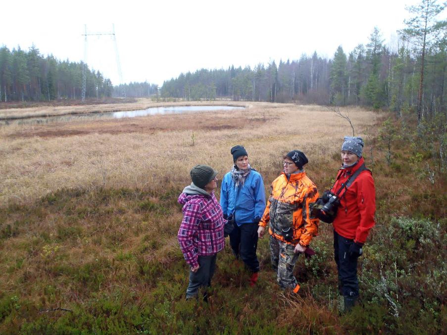 - Levijoentien siltaa idän puolella edeltävä pelto on paras paikka Kuninkaanjoen jokimelonnan lopettamiseen.