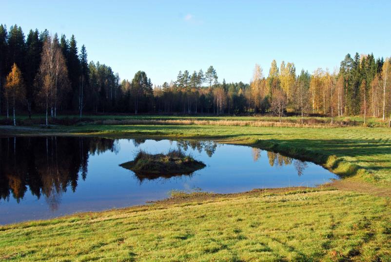 Yksityiset maanomistajat Tervareitti kulkee pääosaltaan yksityisten rantojen äärellä, minkä vuoksi maanomistajien myötämieli Tervareitin käytölle ja kehittämiselle on olennaisen ratkaisevaa.