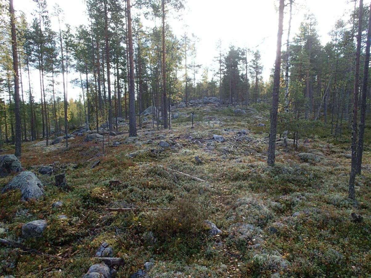 15 Pohjoiseen YLIVIESKA 3 ISO-KÄHTÄVÄ N Mjtunnus: Rauh.