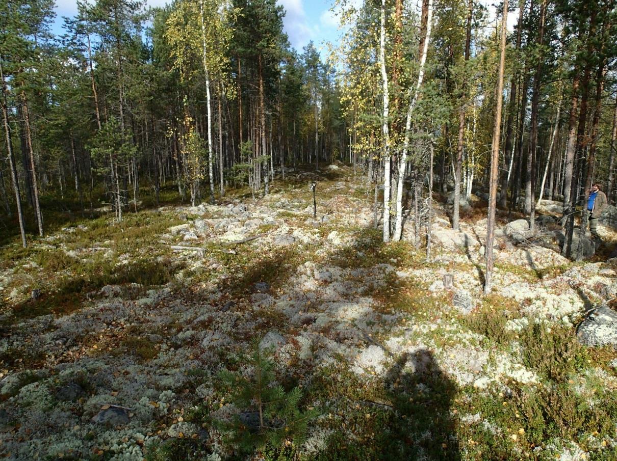 I: 3372 151 Tutkijat: Jussila & Sepänmaa 2013 inventointi Sijainti: Paikka sijaitsee Ylivieskan kirkosta 8,6 km lounaaseen, Iso-Kähtävä