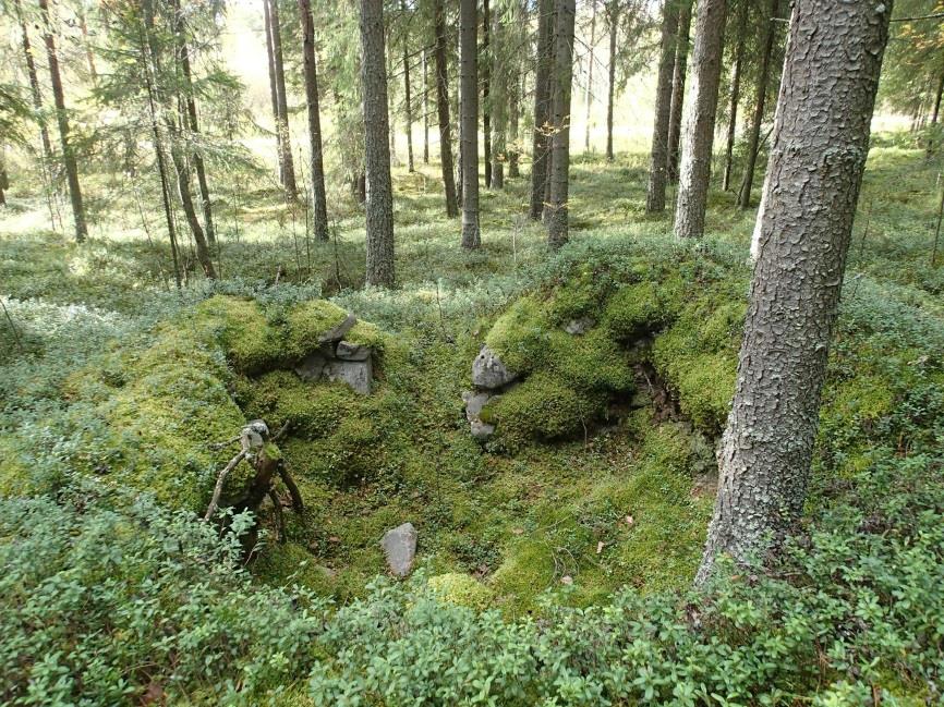 23 Tarkastimme kiven. Kivi on harjun vieressä muutaman kymmenen metriä harjun juurelta itään, kostean suometsän reunalla. Ympärillä on muitakin lohkareita mutta huomattavasti pienempiä.