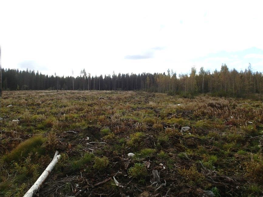 4 keramiikan varhaisinta vaihetta. Siten alueelta on periaatteessa löydettävissä rantasidonnaisia kivikautisia asuinpaikkoja koko linjan osuudelta.