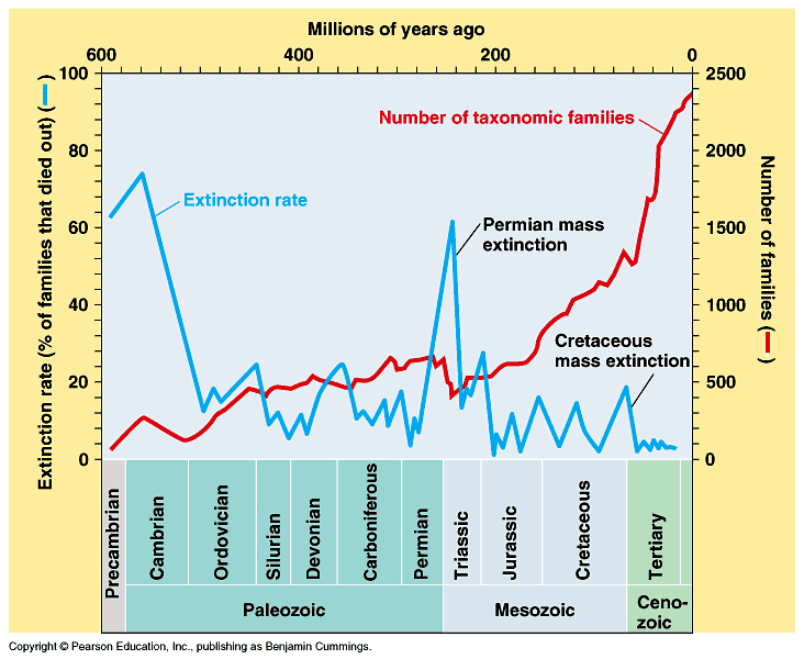 Diversiteetti vs.