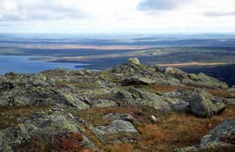 Kestävää luontomatkailua suojelualueilla Kansallispuistoilla ja muilla luonnonsuojelualueilla on suuri merkitys matkailun vetovoimatekijöinä.