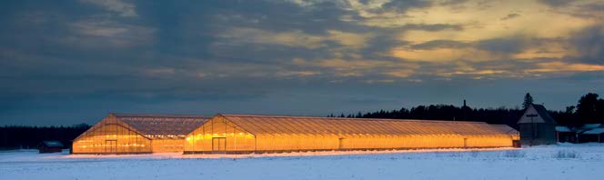 33 1. Maatalous- ja puutarhayritykset 1 Maatalous- ja puutarhayritykset Jordbruks- och trädgårdsföretag Agricultural and horticultural enterprises Maatilojen lukumäärä ja pinta-ala Maatilojen