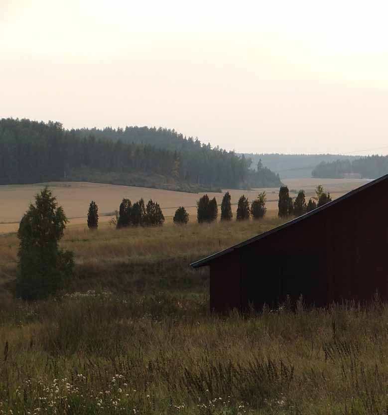 YHTEENVETO Vajaan kolmen tunnin kävelykierros sai aikaan paljon keskustelua ja muistelua osallistujien kesken.