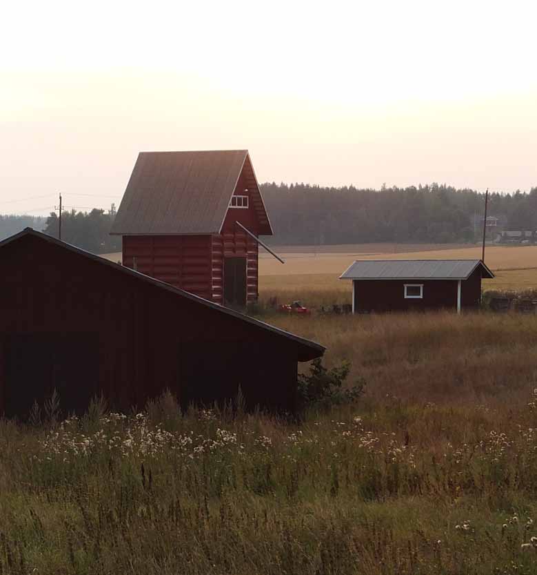 Kyläkävelyille on kiinnostusta ja ehdotuksia uusista kyläkävelykohteista nousi esiin, mm. Tönnö ja kartanoiden Orimattila tulivat ensimmäisenä mieleen.