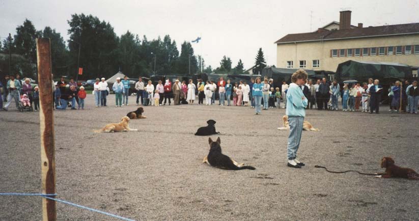 3/41 PERUSTAMINEN Kennel-kerhon perustamistarvetta määrittelemään kokoon kutsuttu avoin ryhmä aika: 28.6.1986 klo 13.