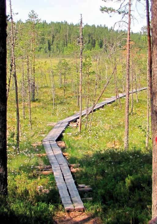 Elämäntapaliiton vuosikokouksen julkilausuma Alkoholin mielikuvamainonnan kielto kirjattava hallitusohjelmaan Elämäntapaliiton vuosikokous vaatii, että seuraavaan hallitusohjelmaan kirjataan