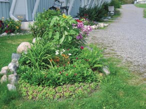 MIKKELIN VUOKRATALOT OY Numero 2 / 2005 19 Tuntuu, että asukkaiden joukossa on paljon sellaisia, joille yhtiömme omistus ja johtaminen on epäselvää.