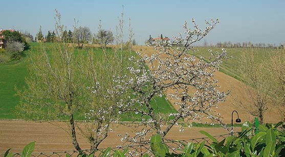 A-LEHTIEN LUKIJAMATKAT Voi hyvin -lehden lukijamatka Slow Food Emilia-Romagna Italian ruokamaakunta 18. 22.5.