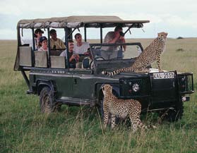 Matka suuntautuu Kenian luonnonpuistoihin, Masai Maraan, Nakuru-järven kautta Amboseliin ja edelleen Länsija Itä-Tsavoon.