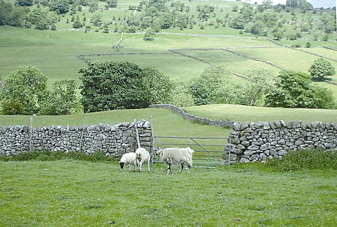 Kartanon alueella kuvataan Emmerdalea studiokylässä. Yleisö ei pääse studioon, joten pääkohde on Harewood House. Harewood House on 1700-luvun herrasmieskartano, jonka upeissa huoneistoissa on mm.