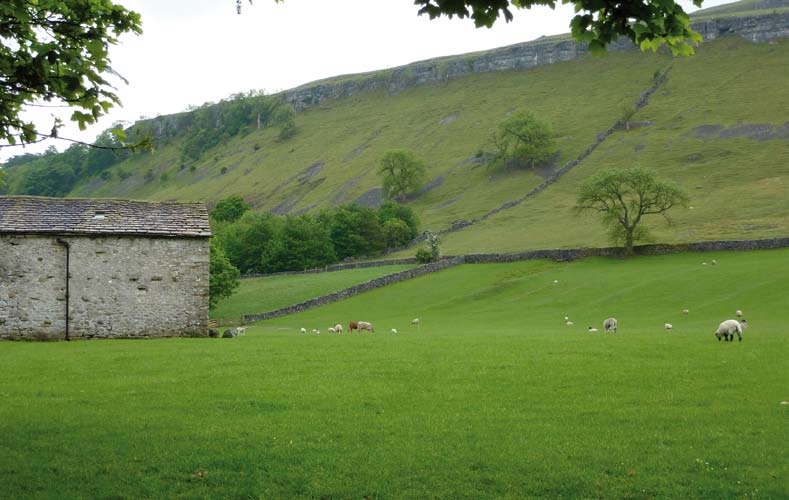 PATIKKA t LUONTOMATKAT 83 Patikkamatka Yorkshiressa The Dales Way 9. 16.9.2011 7 päivän vaellus läpi kauneimman Yorkshiren Patikkaretki Yorkshireen täyttää kaikki aistit.