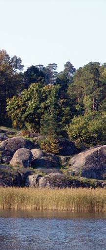 93 issa 29. 31.7.2011 Suvut kohtaavat Viipurissa -tapahtuman ohjelma: Lauantai 30.7. 11.30 12.15 Hartaushetki ja kirkkokonsertti 13.