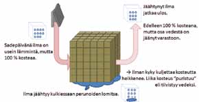 Haavojen paraneminen kestää - 14 pv, kun lämpötila on 18 astetta - 20 pv, kun lämpötila on 15 astetta - 30 pv, kun lämpötila on 12 astetta