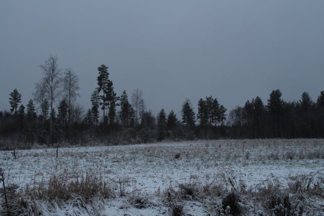 itään; polttoväli 28 mm. (O-P.S. 20.11.2014, klo 9:10). Kuva 32. Tyrnävän Kivimaa.