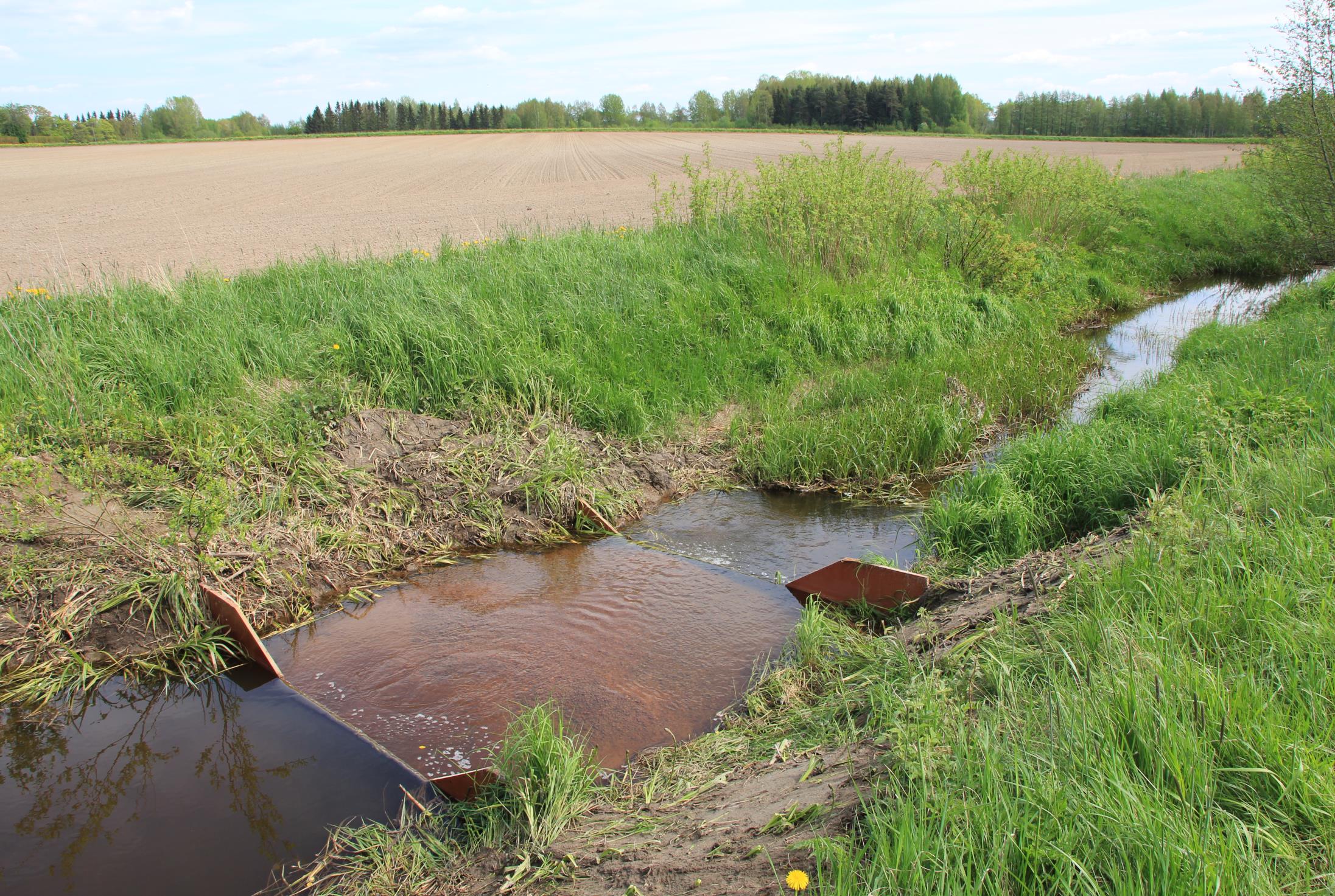 Ei tämäkään mennyt niin kuin Strömsössä Vuosimalli 2012: Suodatinpatoketju (4 kpl patoja, Sachtofer PR)