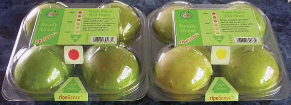 Älypakkaus voi kertoa myös tuotteen kypsyydestä ripesense TM (Jenkins Group, NZ) vihreän päärynän kypsymisessä syntyvät aromit aiheuttavat värinmuutoksen näpelöinnin esto vähittäiskaupassa oikein