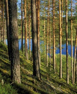 Lain soveltaminen edellyttää siten perusteellista tietoa ottamisalueen luontoarvoista ja luonnon olosuhteista, maisemasta ja ottamisen vaikutuksista ympäristöön.