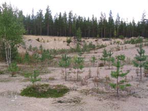 Kuva 27. Mikäli ottamistoiminta on tapahtunut vastoin lupamääräyksiä, vallinnut olotila tulisi palauttaa. Toimenpiteet tilanteen korjaamiseksi eivät aina ole olleet riittäviä.